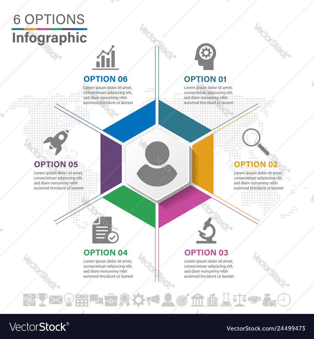 Infographics six options vector image Infographics six options