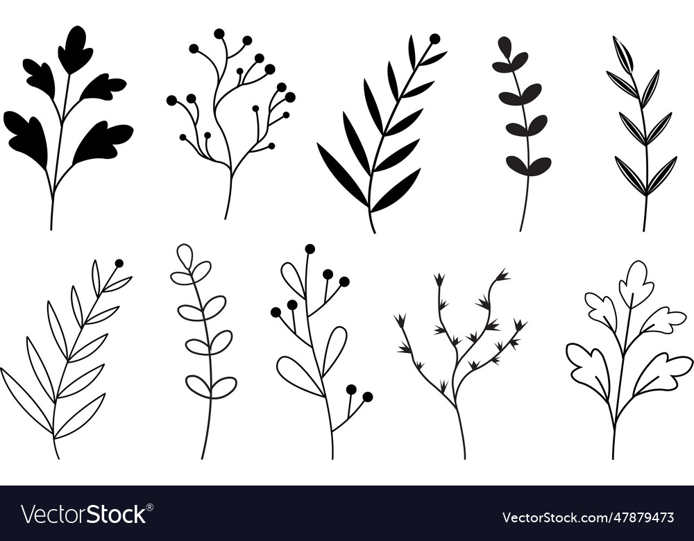 Set floral branch and minimalist leave hand drawn