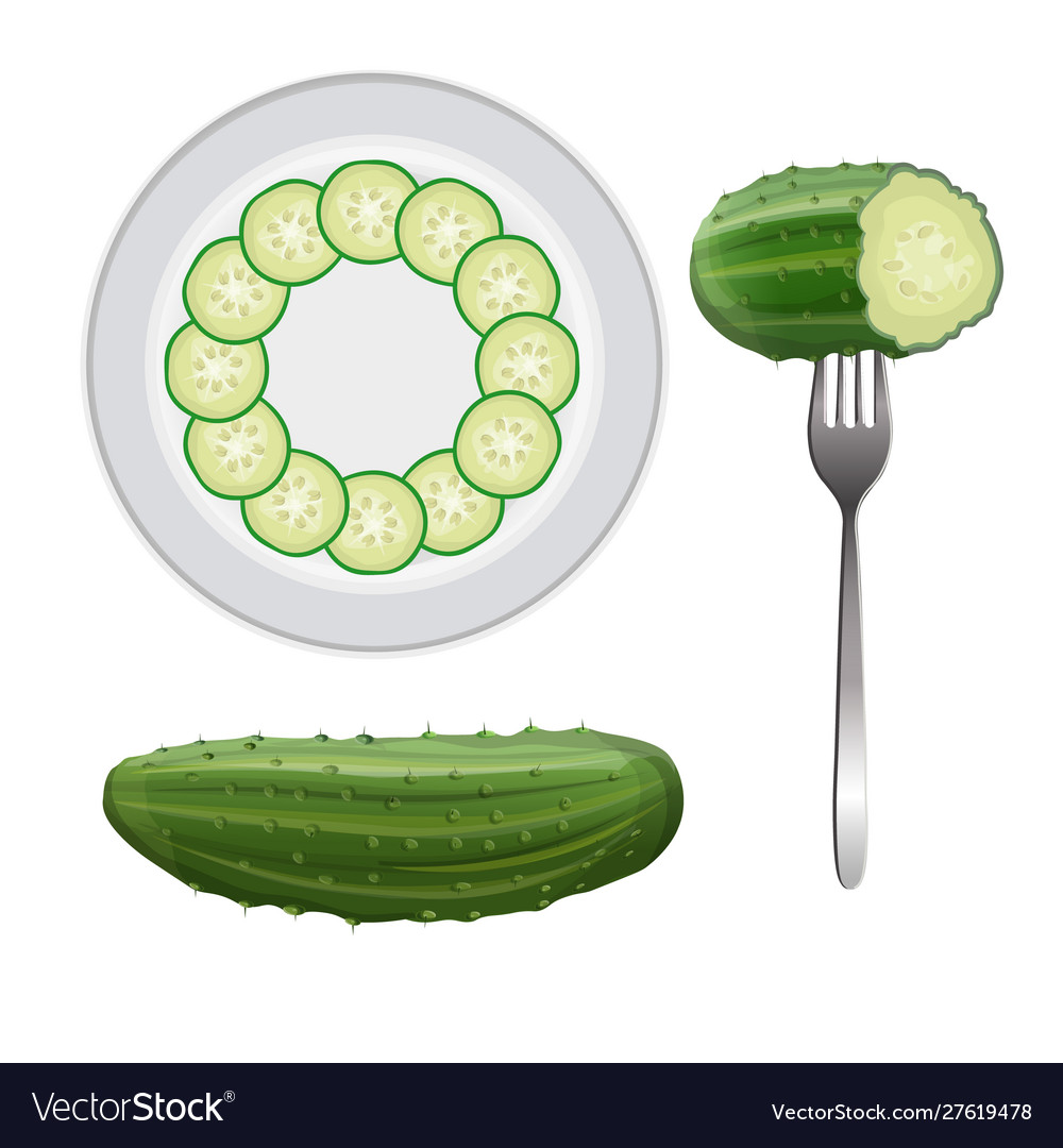 Fresh cucumber set in realistic style