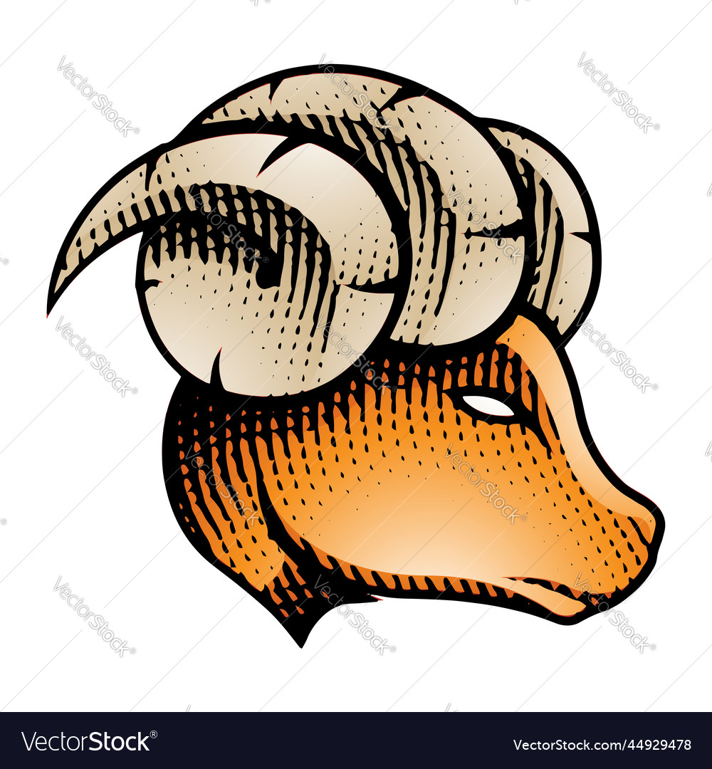 Scratchboard engraved ram profile view Vector Image Scratchboard engraved ram profile view