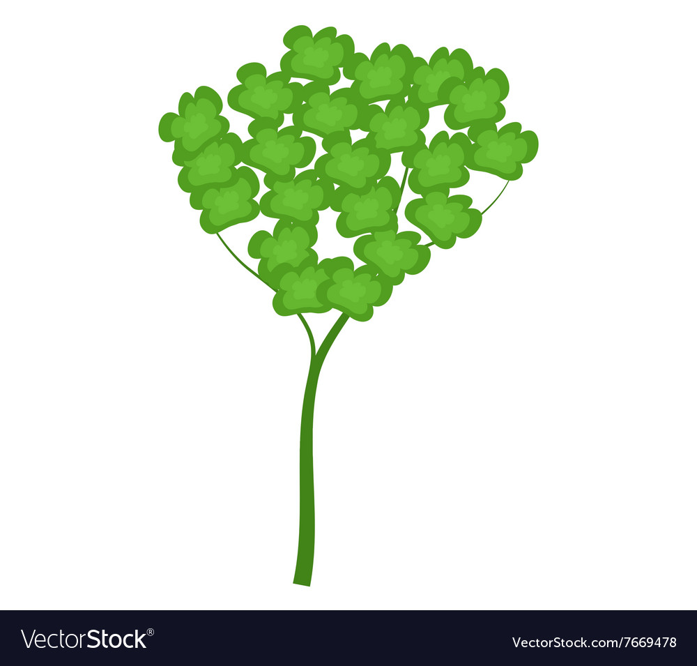 Tree on white background