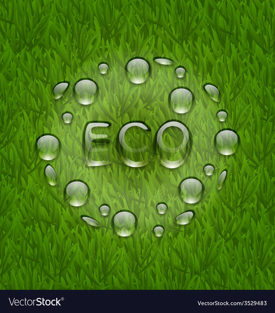 Eco friendly background with water drops on fresh