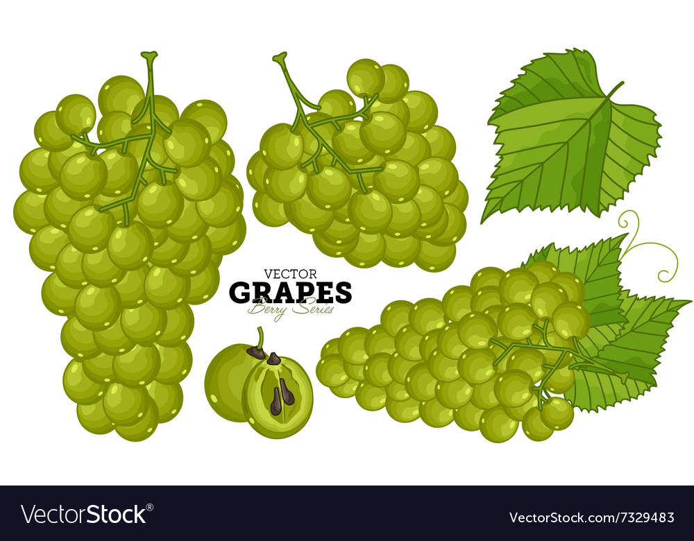 Grape set