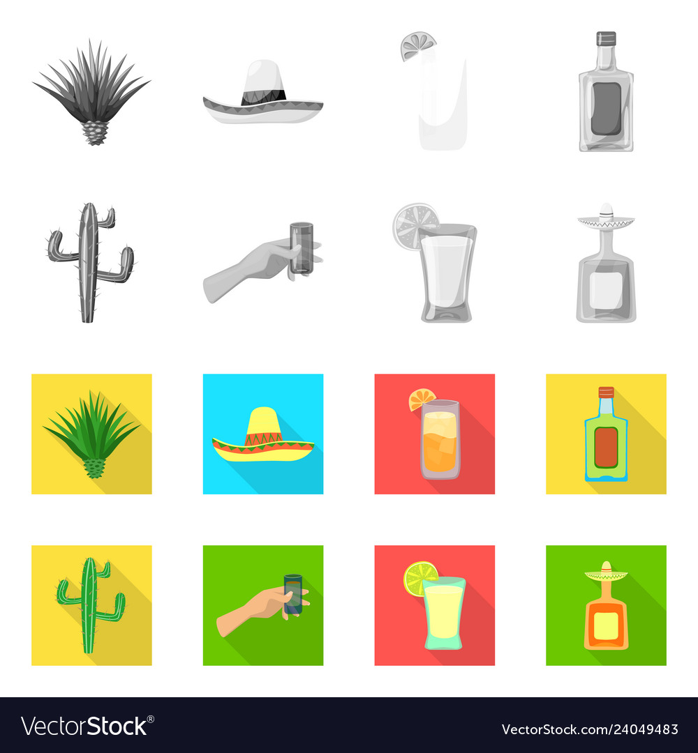 Isolated object of cafe and latin sign set