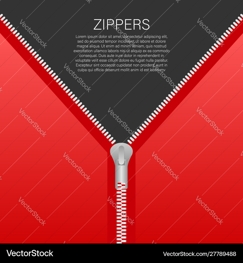 Sewing accessory zipper metallic open zippers Vector Image