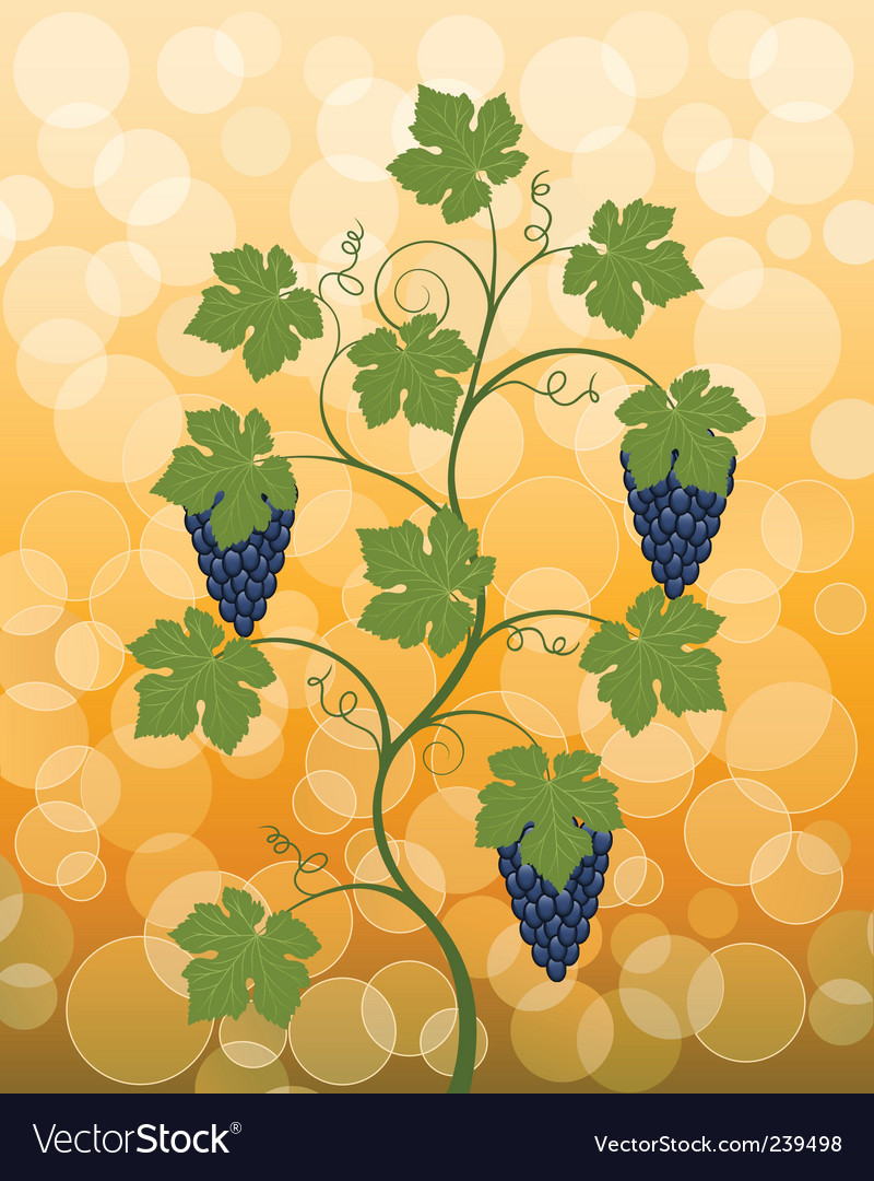 Floral Vine Background