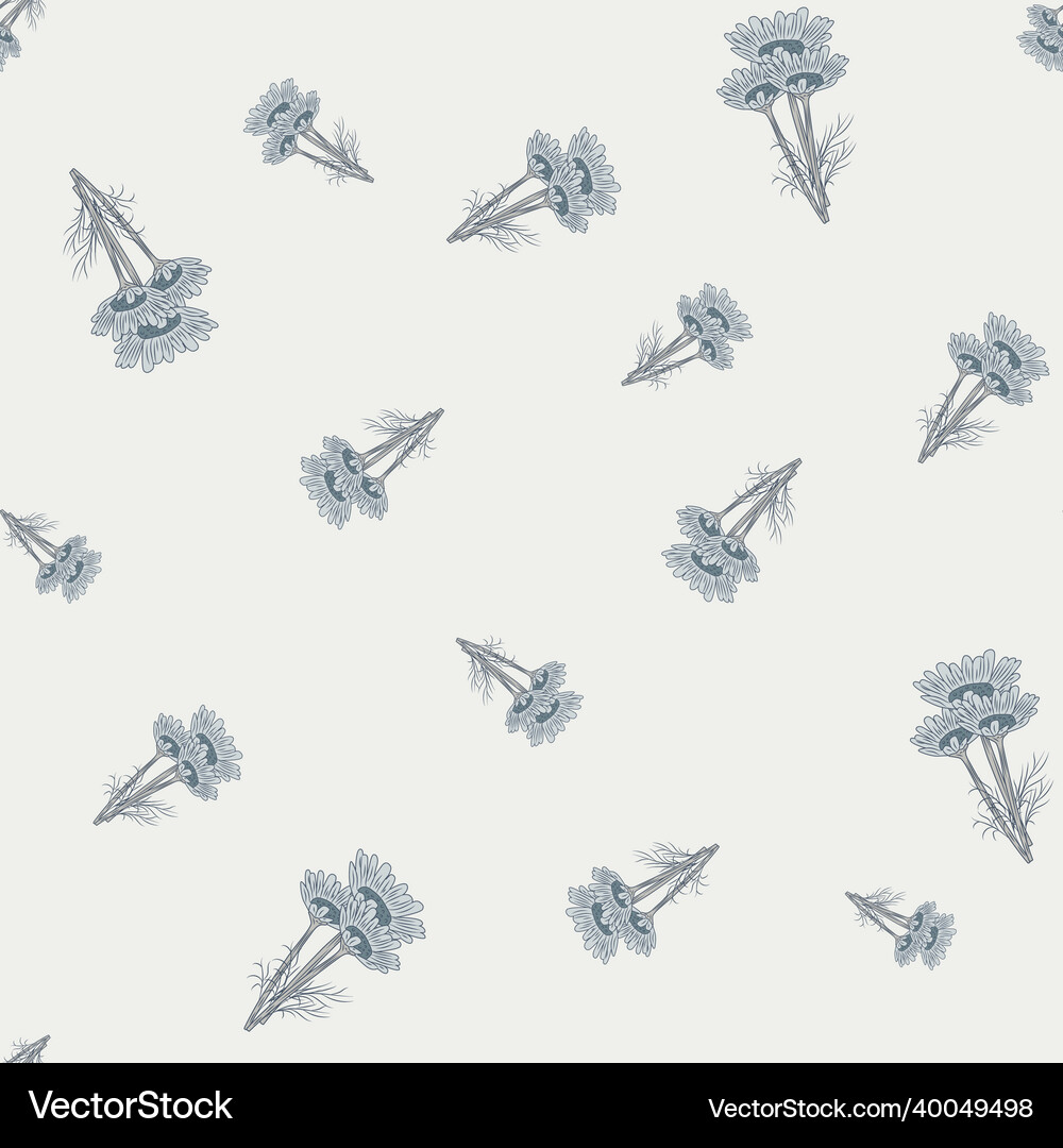 Seamless pattern chamomile on light background Vector Image