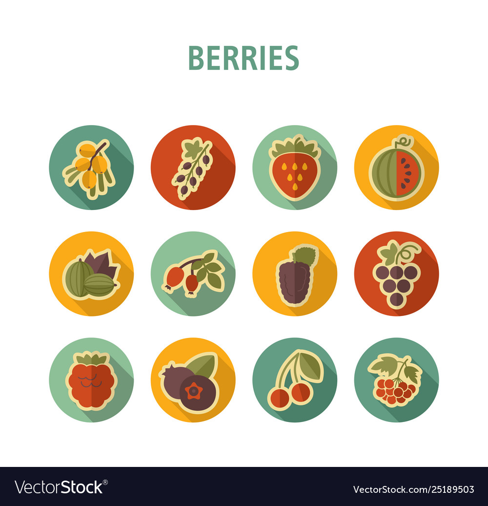 Fresh berries icons set