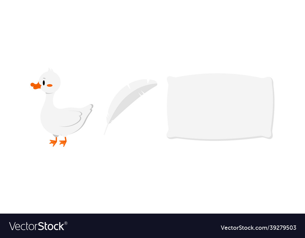 Goose feather and pillow icon set isolated