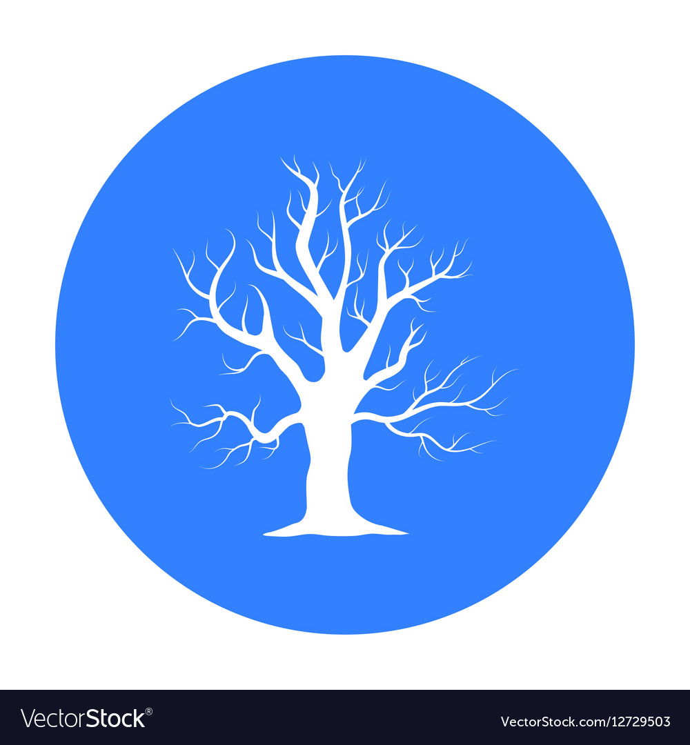 Old tree icon in black style for web