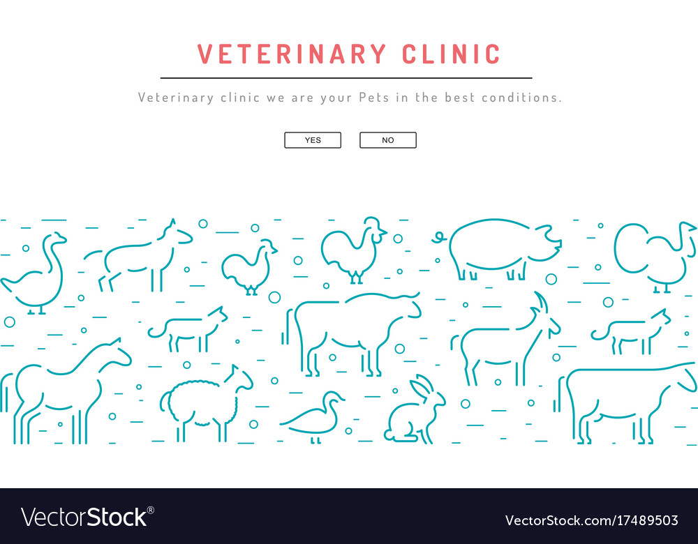 Veterinary clinic banner