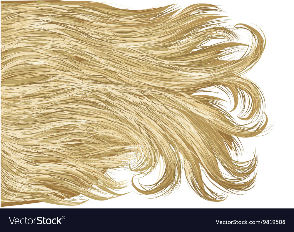 Blonde Hair Royalty Free Vector Image - VectorStock