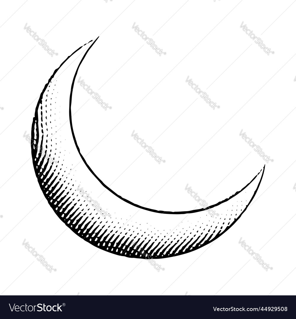 Scratchboard engraved icon of moon Royalty Free Vector Image