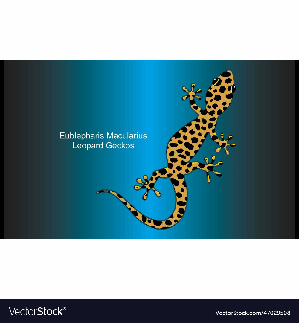 Tokay gecko on abstract background Royalty Free Vector Image