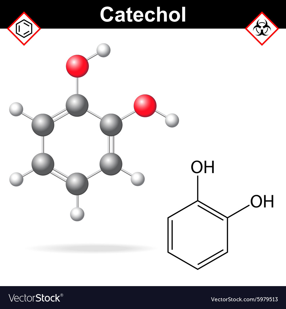 Catechol - chemical formula Royalty Free Vector Image