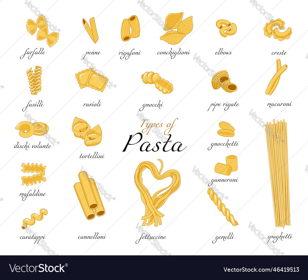 Collection of pasta set of different types Vector Image