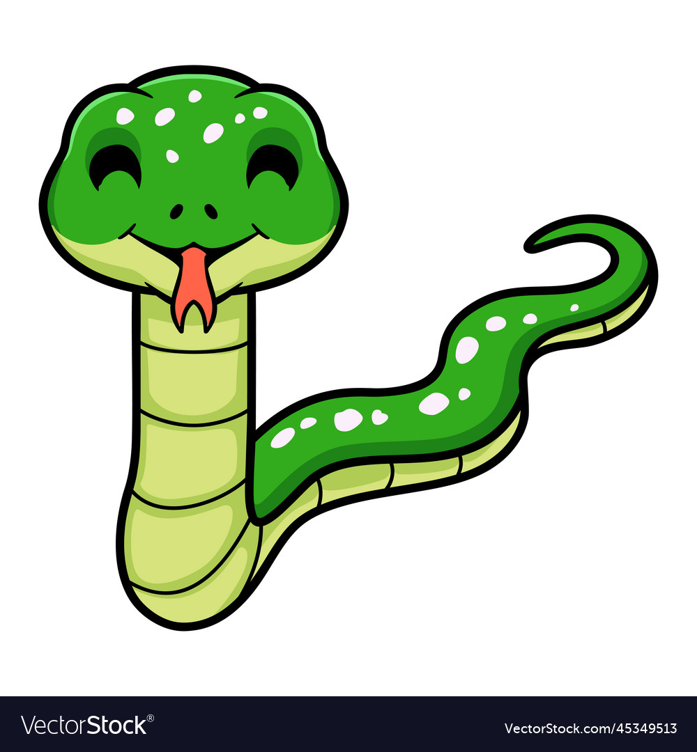 Cute green tree python cartoon Royalty Free Vector Image