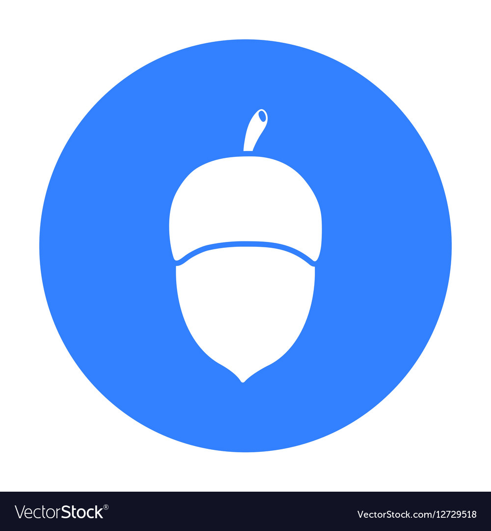 Acorn icon in black style for web