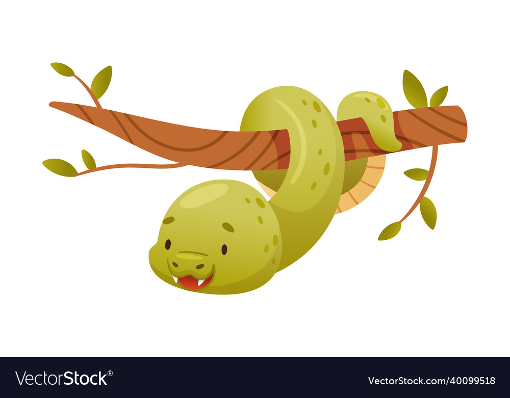 Cute green snake hanging on tree funny wild Vector Image