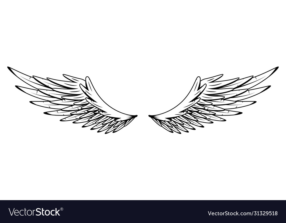 Vintage heraldic wings monochrome stylized birds Vector Image