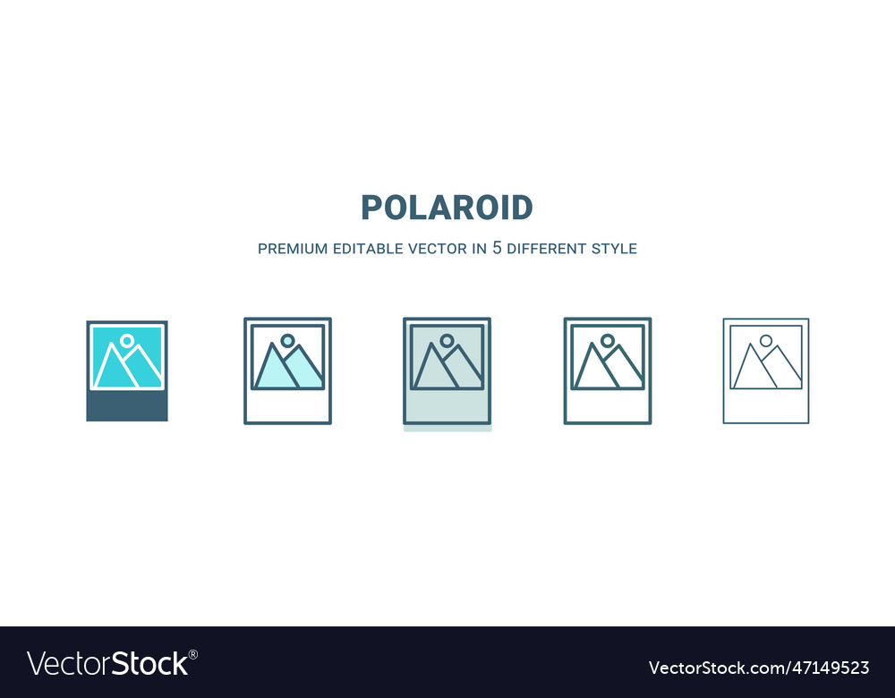 Polaroid icon in 5 different style outline filled vector image Polaroid icon in 5 different style outline filled