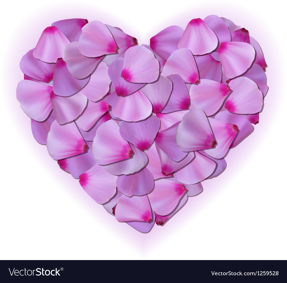 Pink heart petals on white background Royalty Free Vector