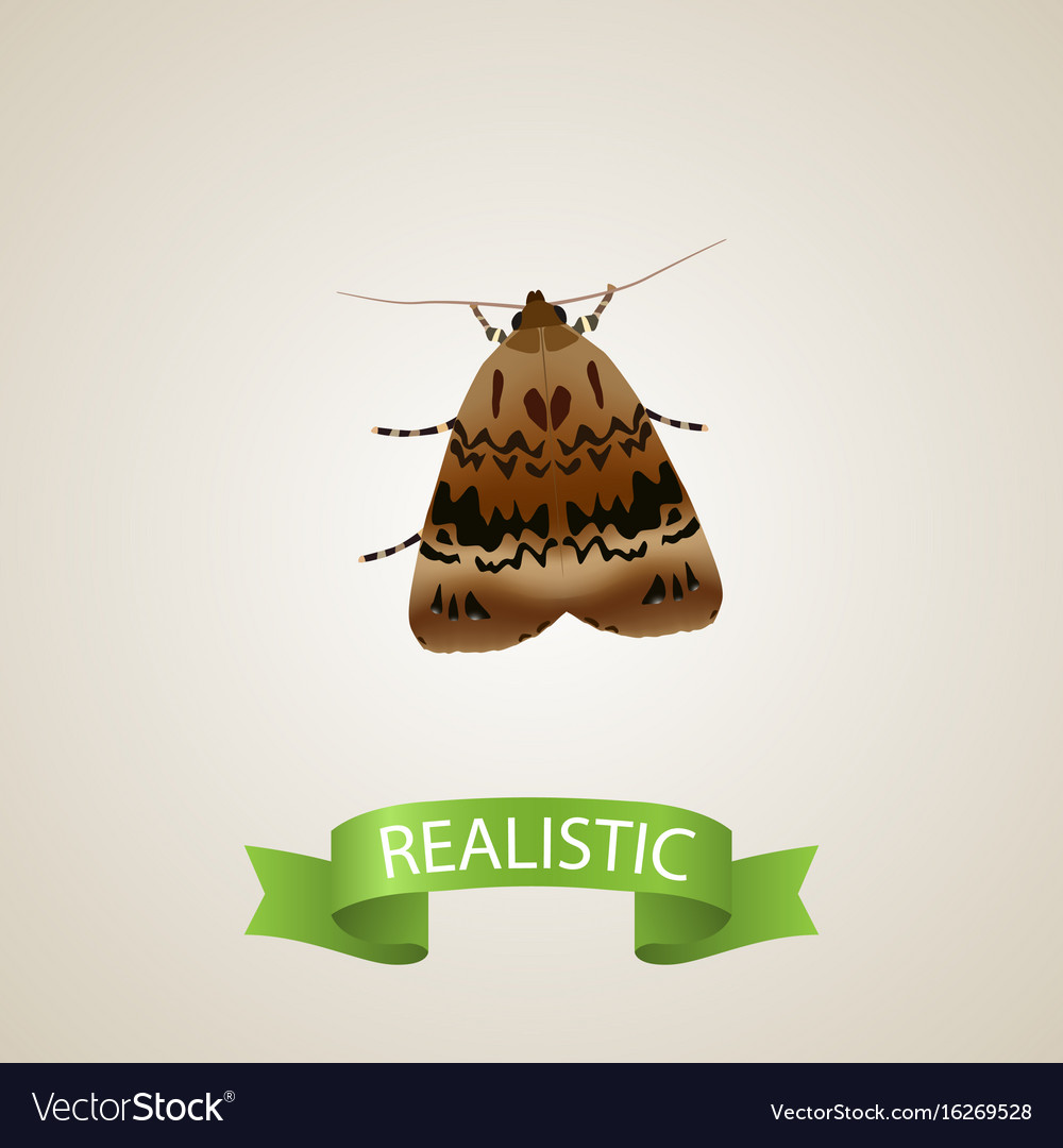 Realistic Moth