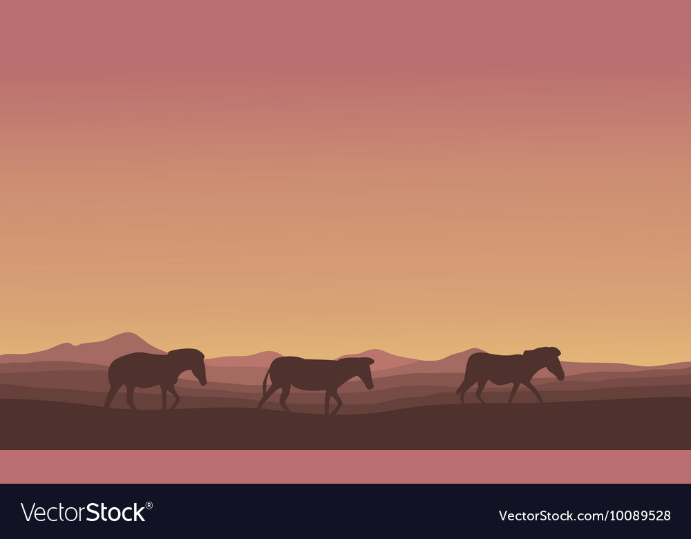 Silhouette von Zebra in der Wüste gefüttert