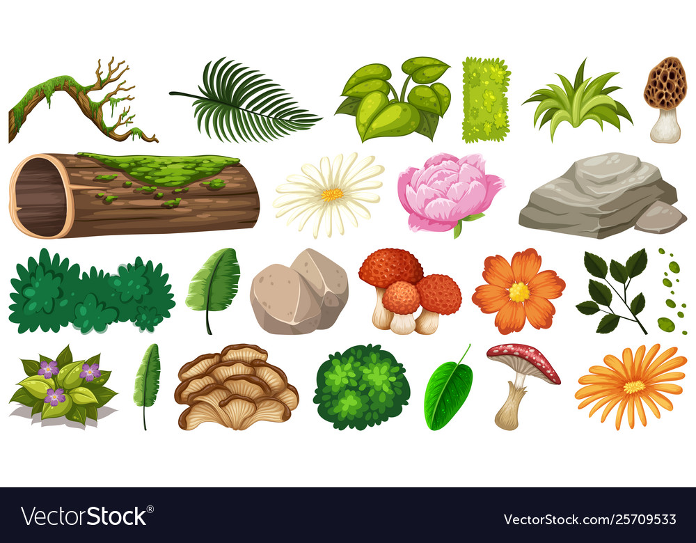 Set nature object