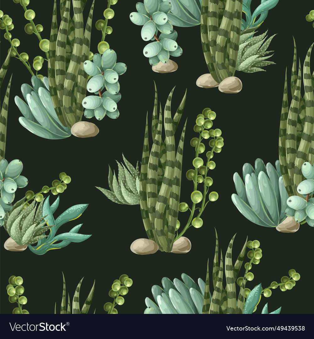 Seamless pattern with succulents and cactus vector image Seamless pattern with succulents and cactus