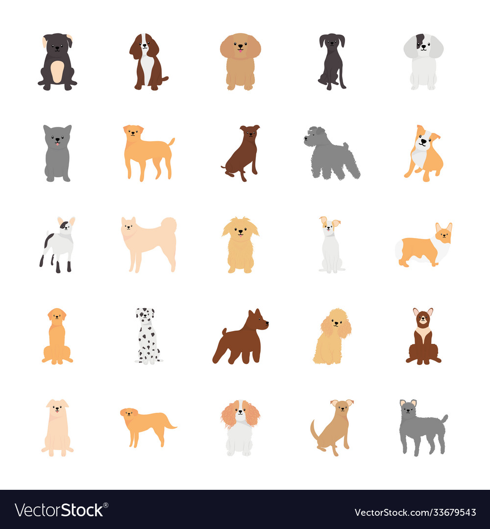 Cartoon poodle and dogs icon set flat style Vector Image