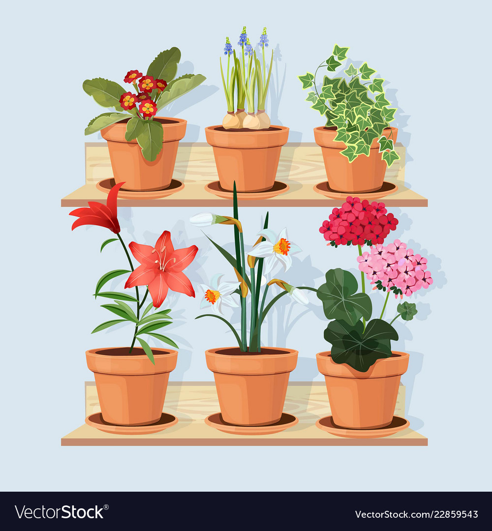 flowers at shelves decorative tree plants grow in flower shelves design