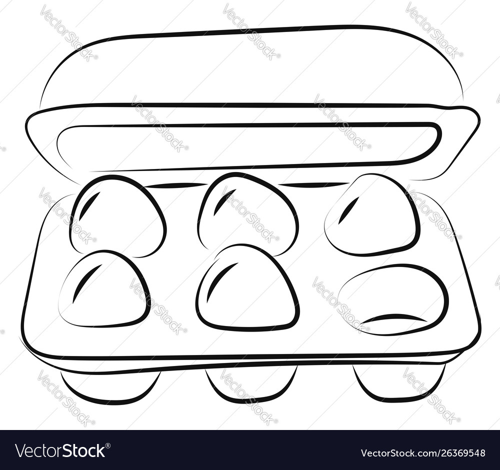 Eggs in box drawing on white background