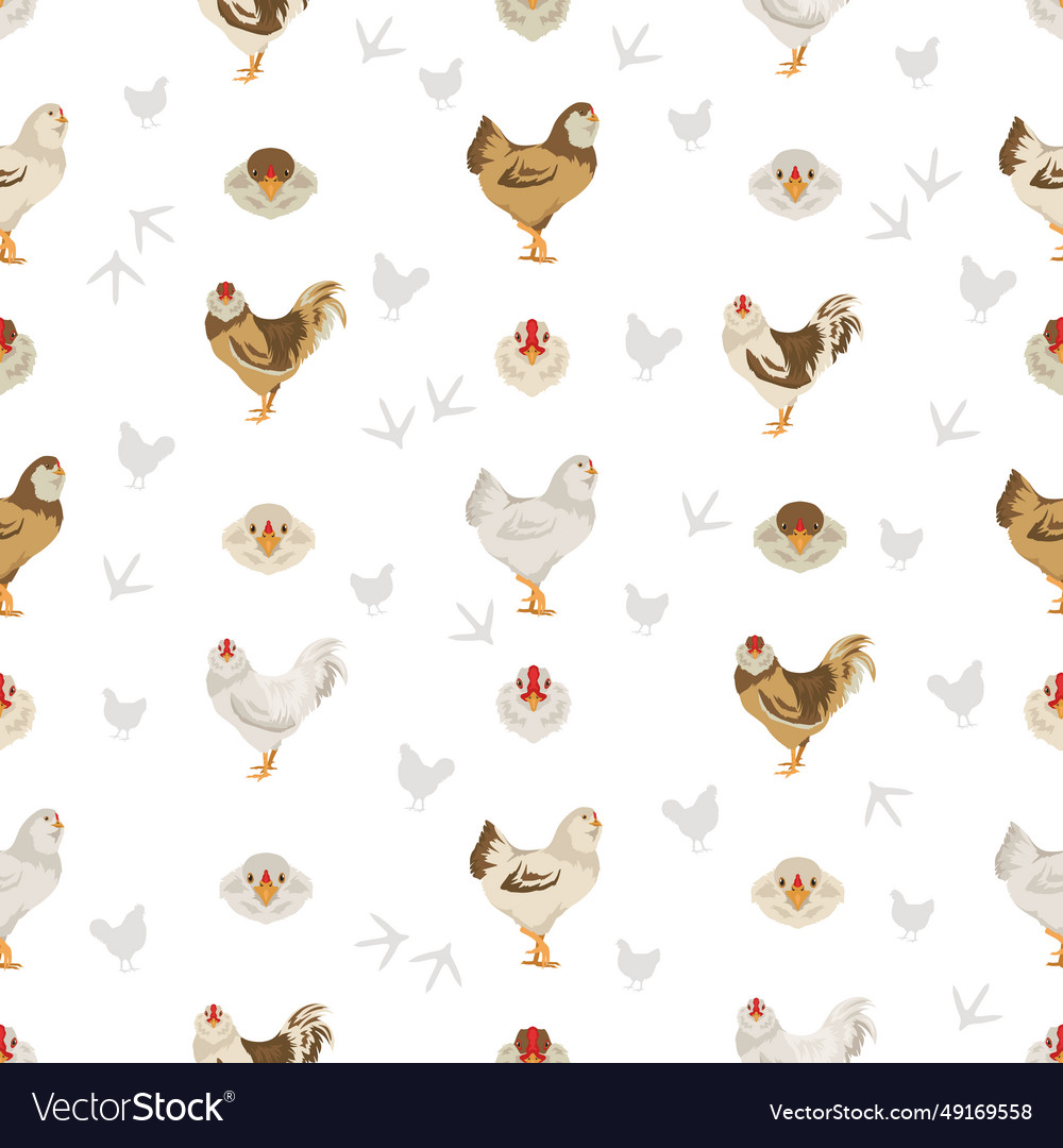 Australorp chicken breeds seamless pattern Vector Image