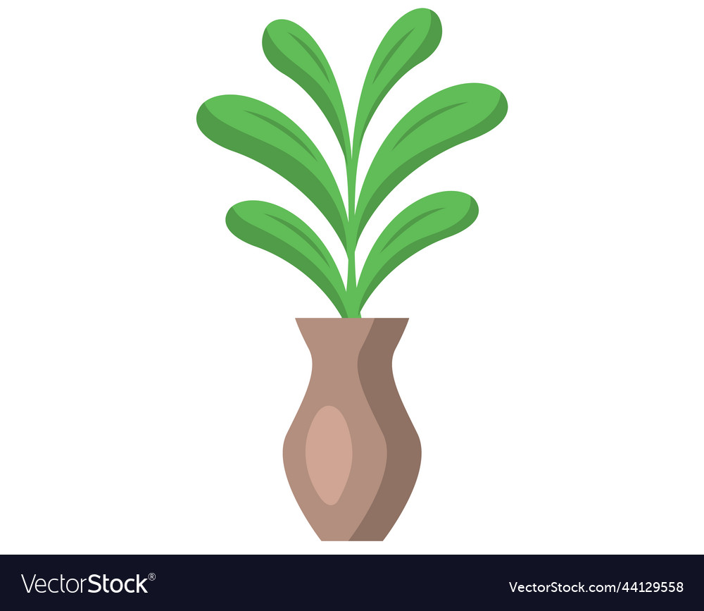 Decorative green plant with long leaves in ceramic