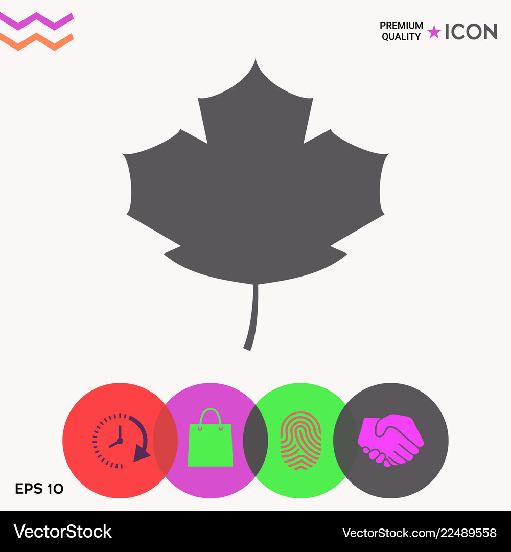 Maple leaf icon Royalty Free Vector Image - VectorStock