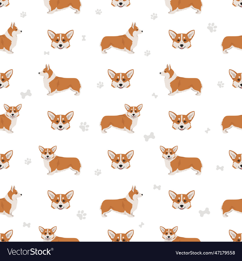 Welsh corgi pembroke seamless pattern all coat Vector Image