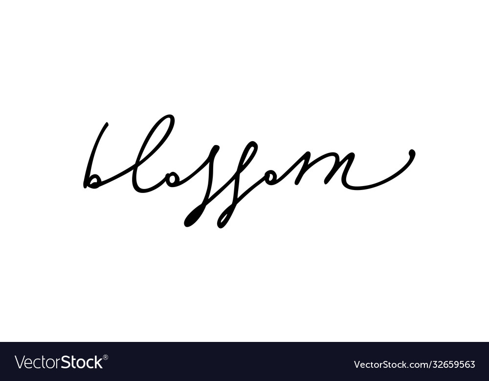 Blossom - hand written word calligraphic Vector Image