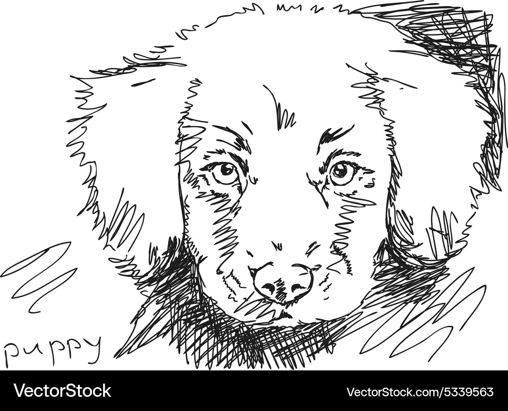 Doodle Royalty Free Vector Image - VectorStock