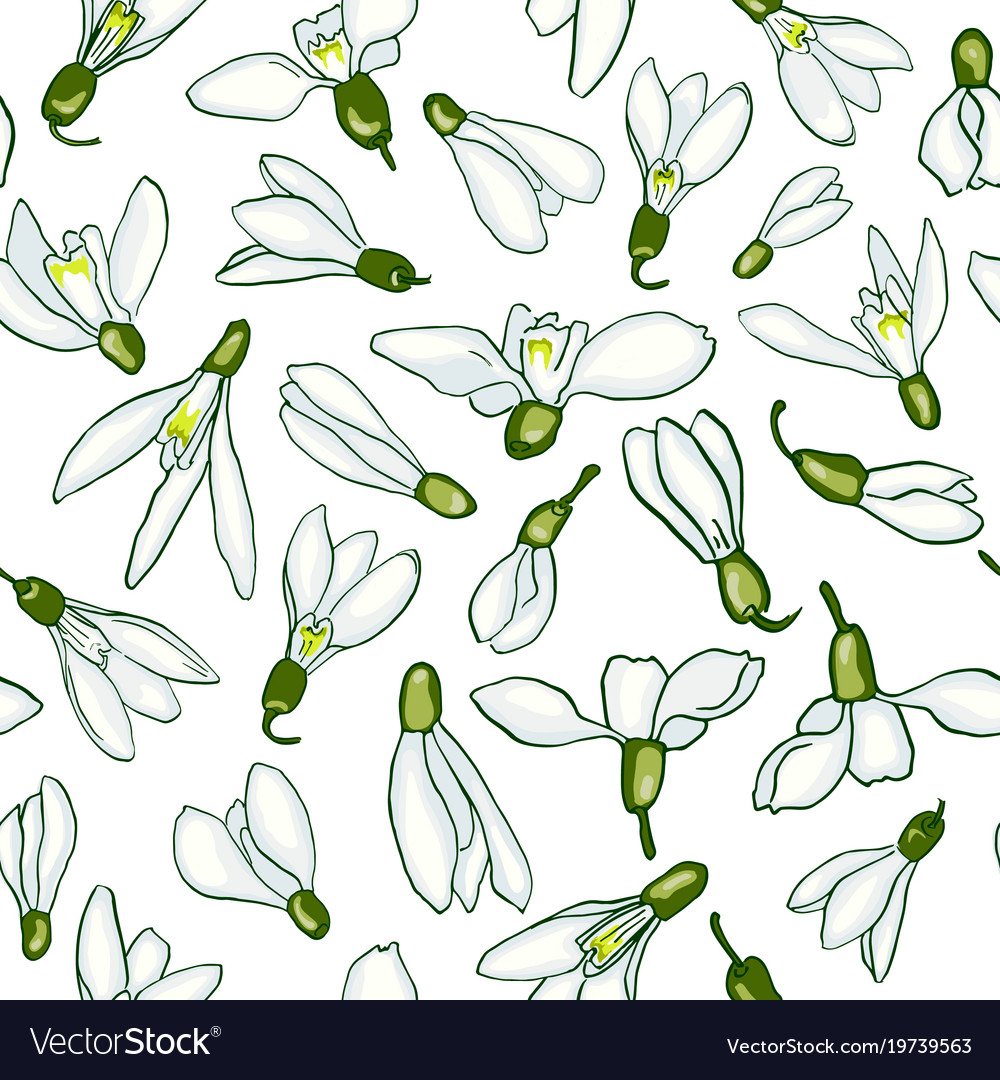 Seamless pattern with snowdrops