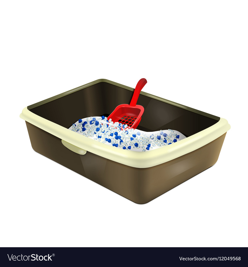 silica litter