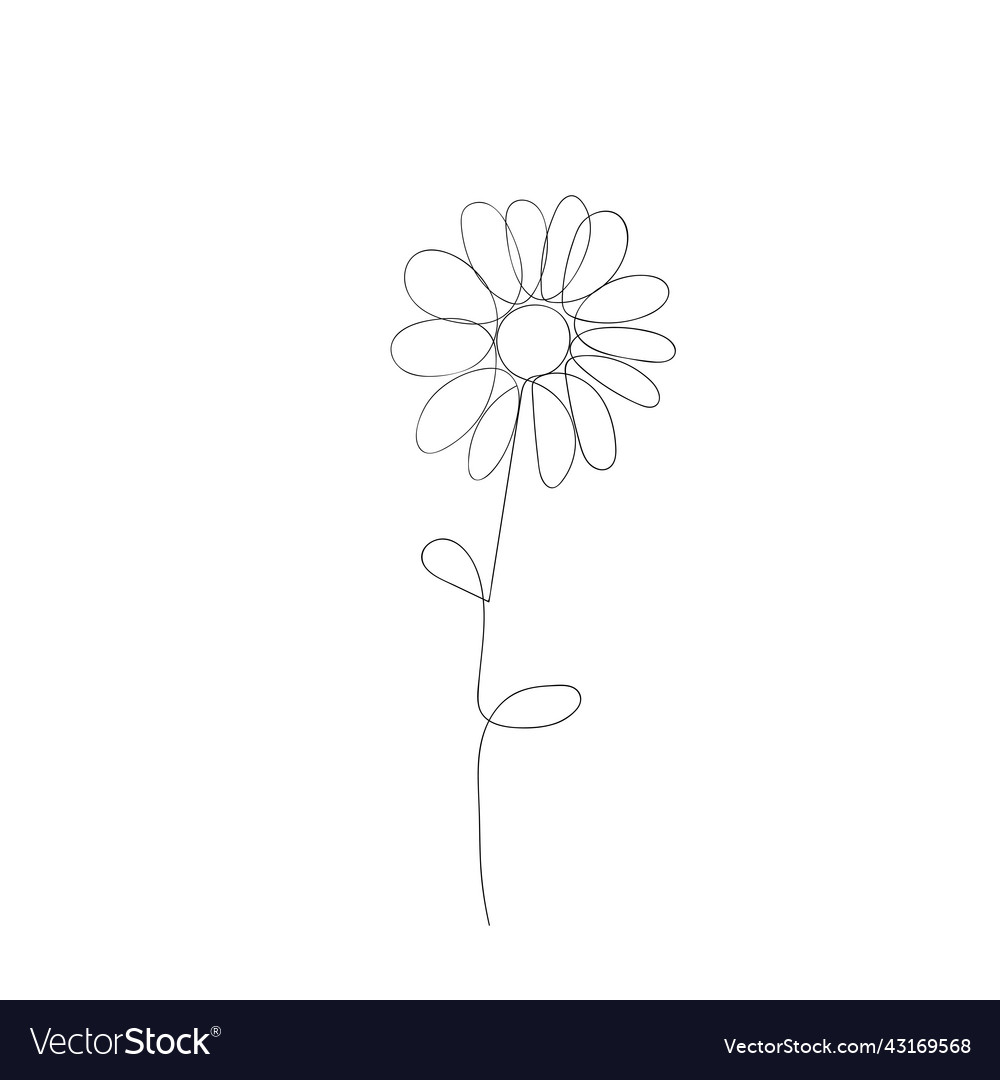 Floral silhouette art line flowers in continuous Vector Image