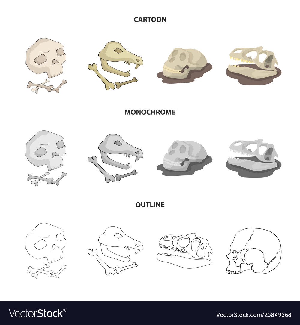 Isolated object skeleton and character icon