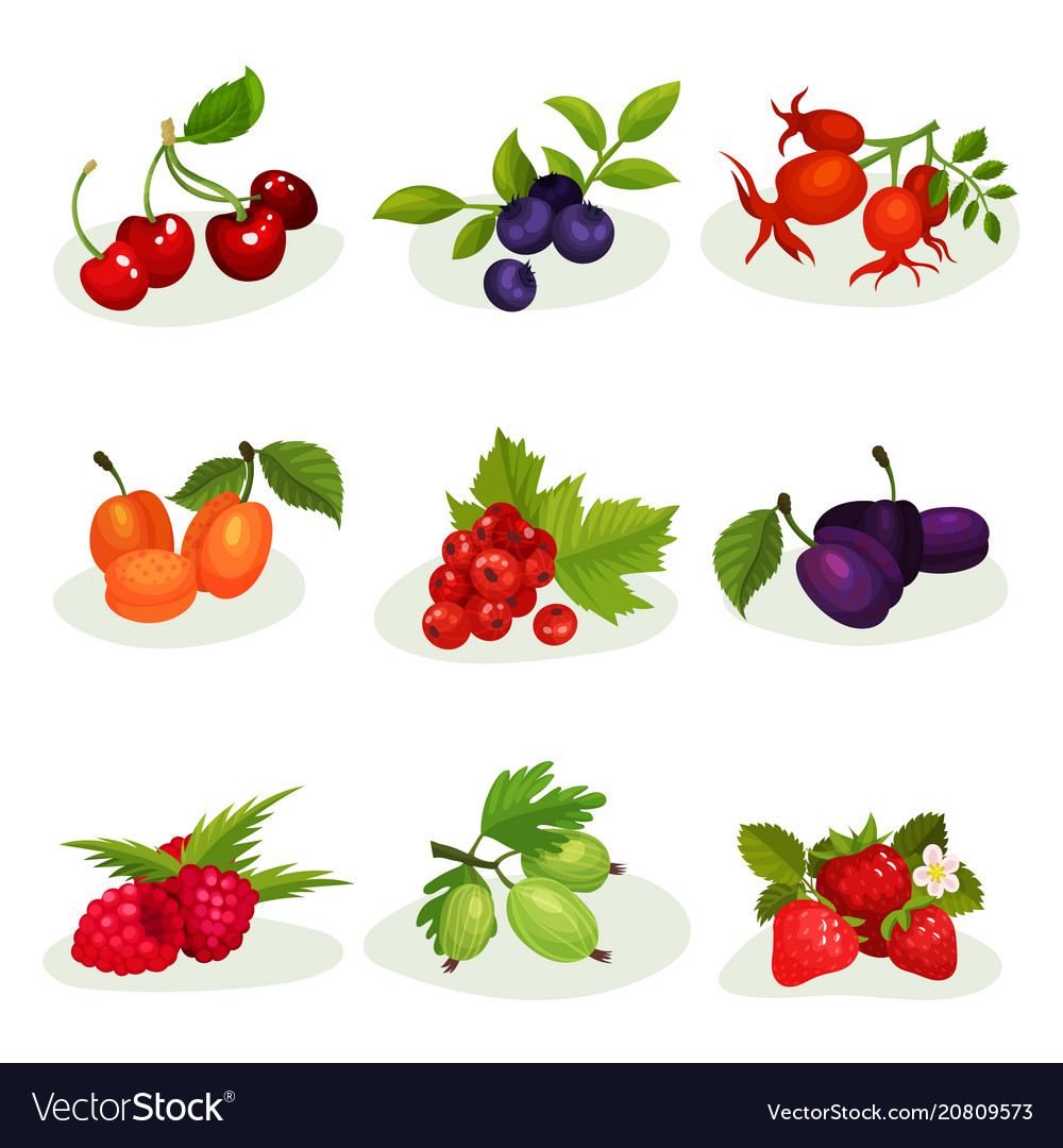 flat-set-of-different-kinds-of-tasty-royalty-free-vector