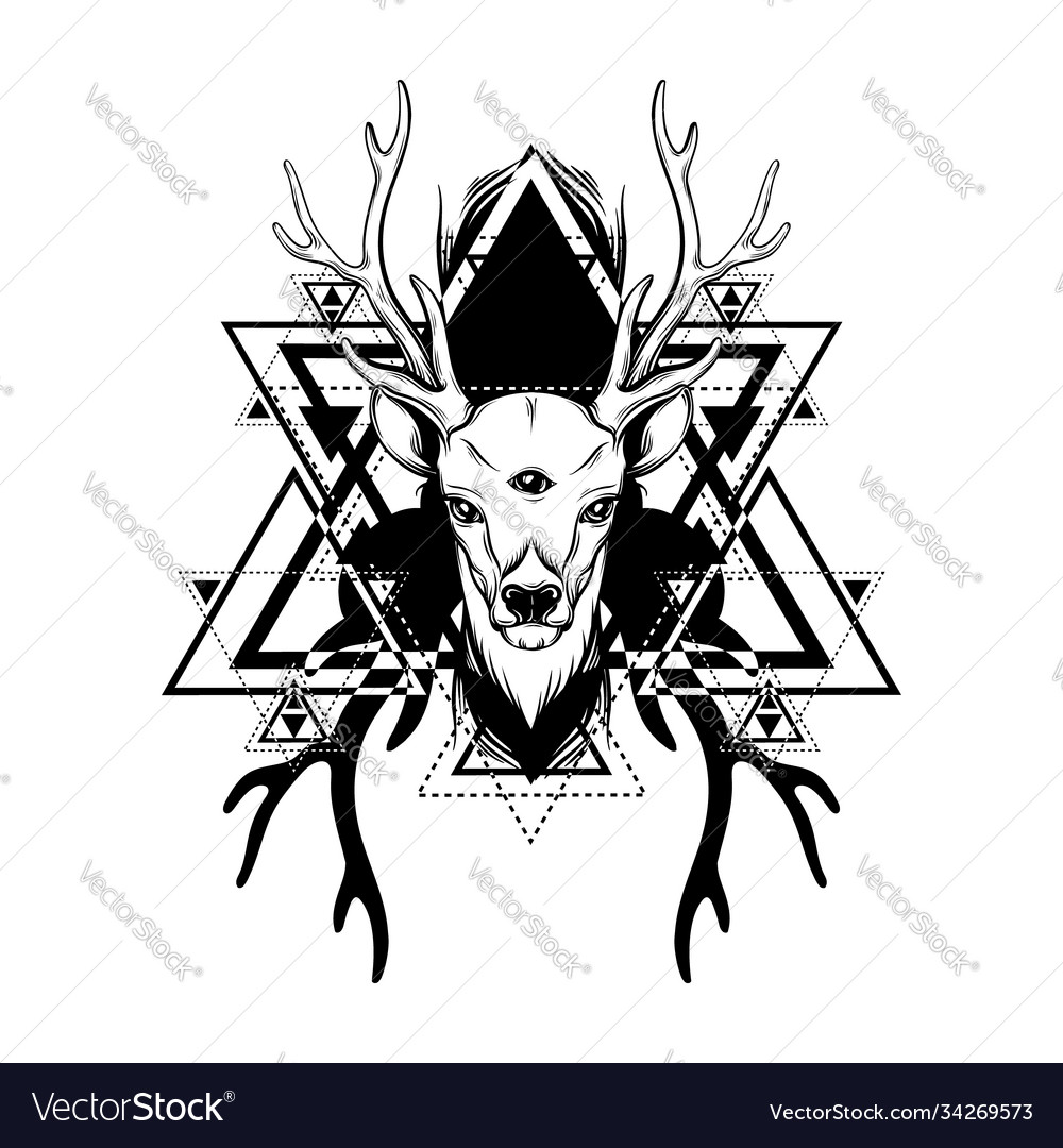 Hand drawn beautiful sketched deer deers Vector Image