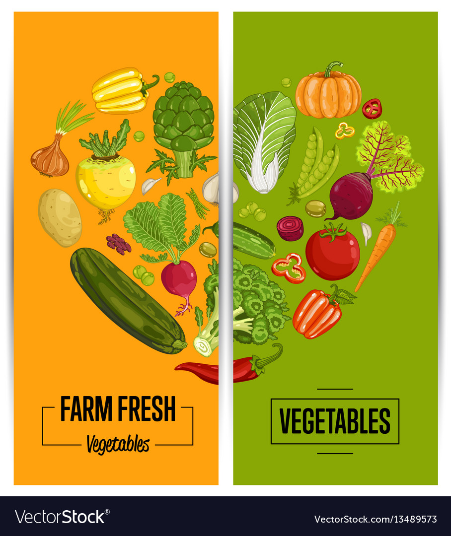 organic vegetable farming flyers set royalty free vector nutrition flyers