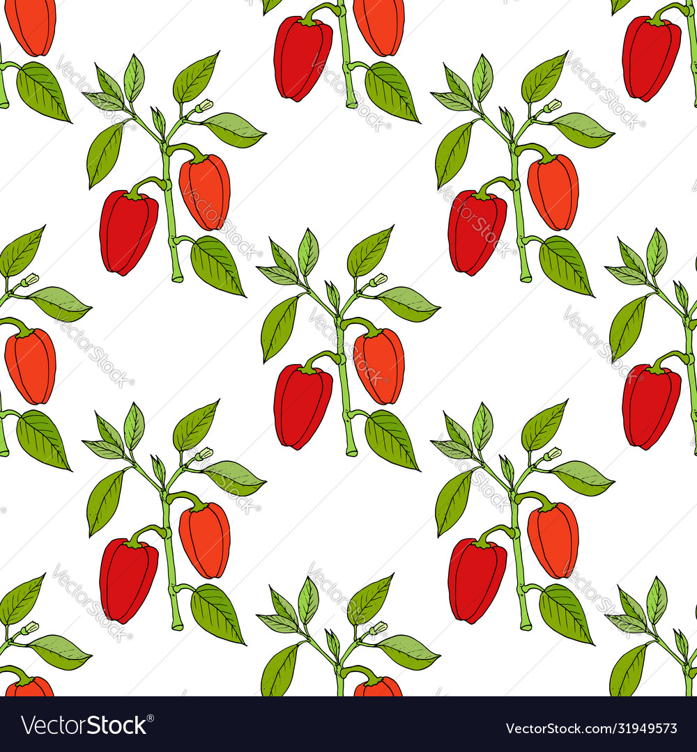 Paprika red pepper spice seamless pattern