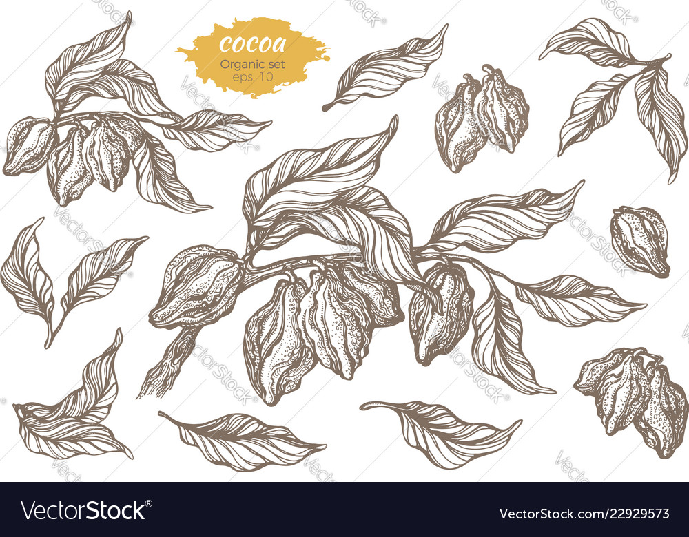 Set cocoa sketch hatch