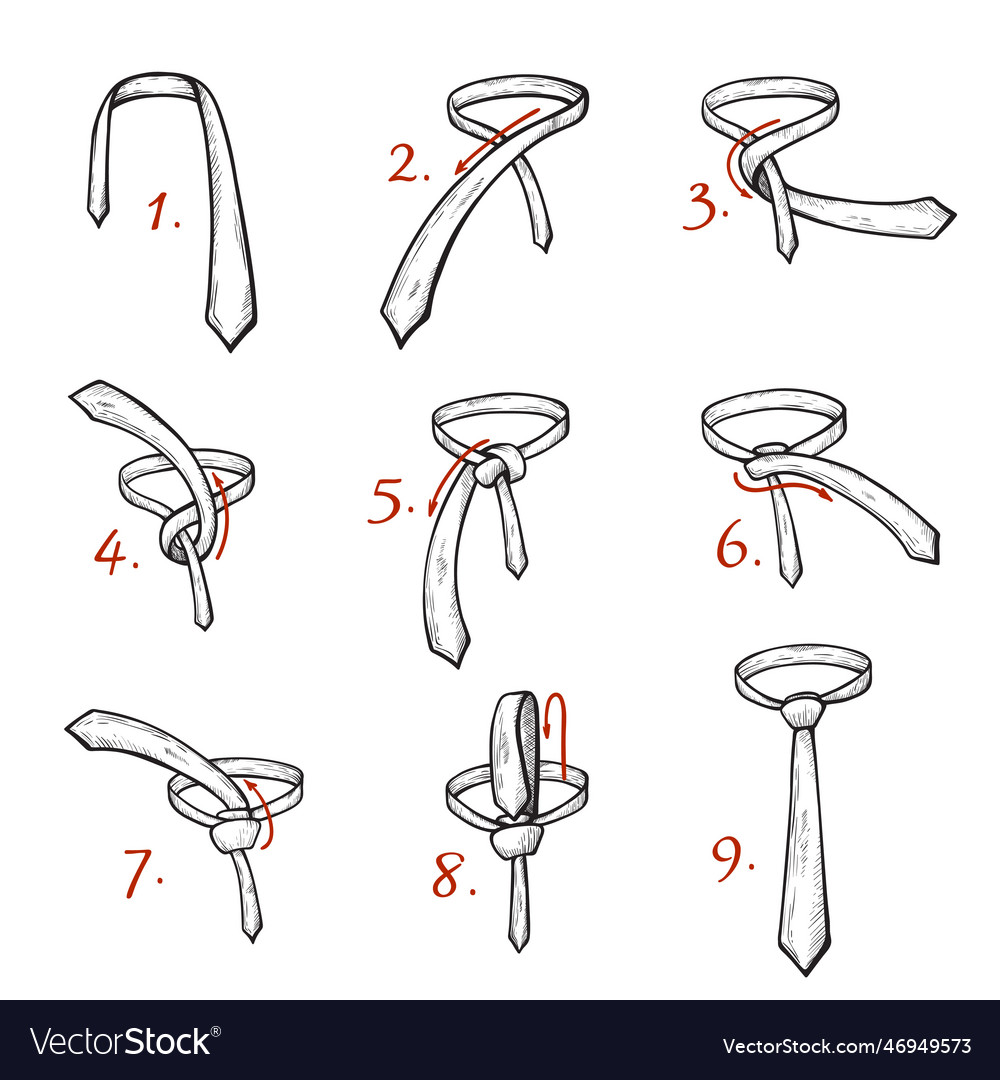 Tying tie knot diy instruction infographic steps Vector Image