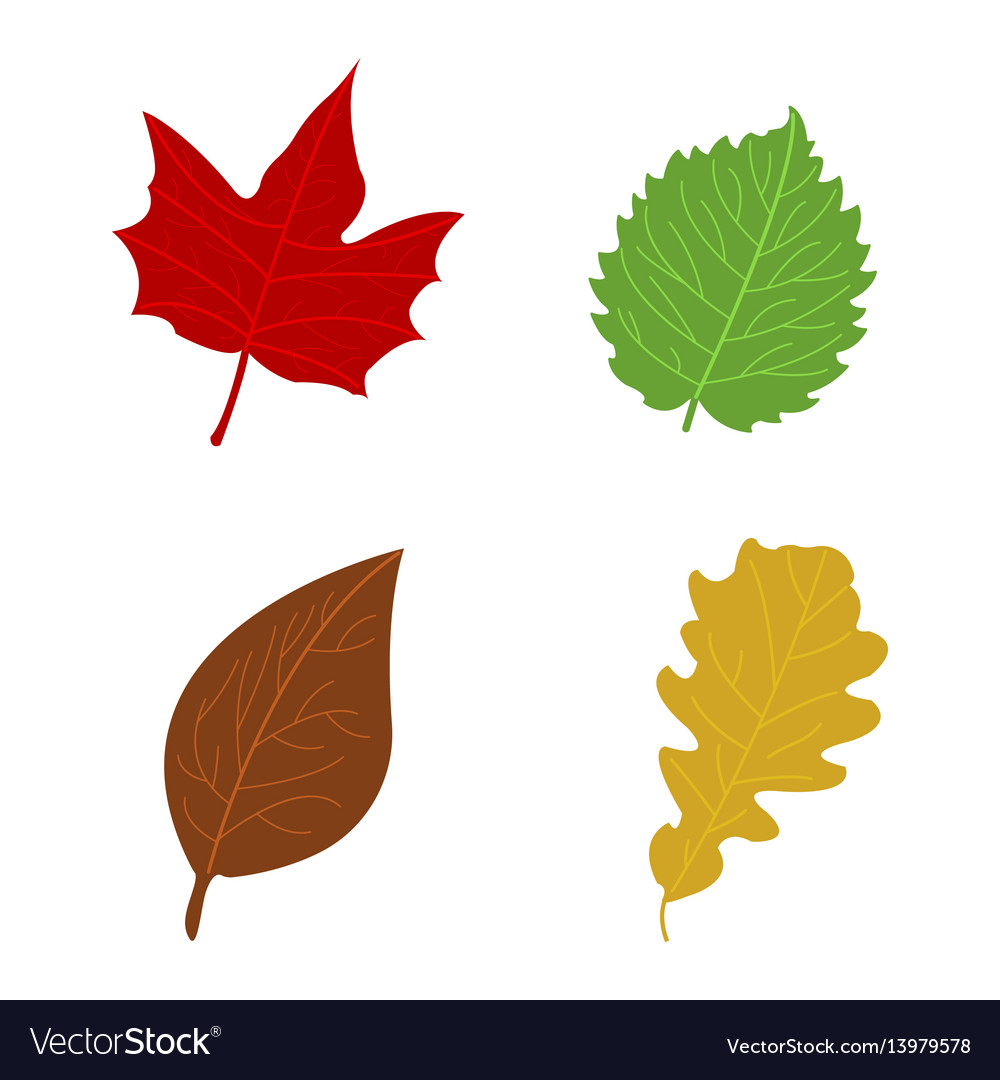 fall leaves cartoons